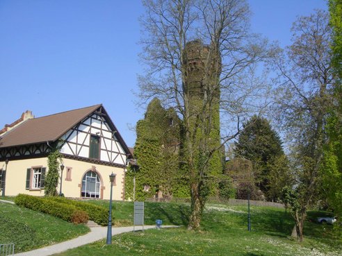 EBSビジネススクール